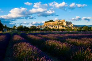 a field of lavender with a castle in the background at Le Clair de la Plume - Les Collectionneurs in Grignan