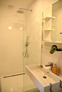 a bathroom with a sink and a glass shower at Wellness Vila Bohemia in Prague