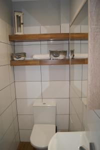 グダニスクにあるSkimondo IIのバスルーム(トイレ、タオル付)