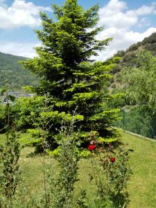 Fotografia z galérie ubytovania La Borda de Sort v destinácii Sort