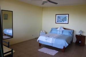1 dormitorio con 1 cama y ventilador de techo en La Princesa Hotel, en San Isidro