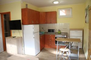 Kuchyň nebo kuchyňský kout v ubytování Dzsigoló Apartment