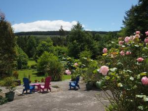 Zahrada ubytování Ballycommane House & Garden