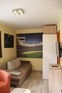 TV a/nebo společenská místnost v ubytování Dzsigoló Apartment