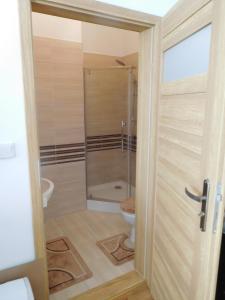 ヴィエリチカにあるApartament DERUBEISのバスルーム(シャワー、トイレ付)
