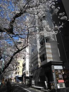 um edifício com árvores floridas em frente a uma rua em Hotel Moana Otsuka (Adult Only) em Tóquio