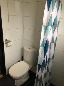 ein Bad mit einem WC und einem Duschvorhang in der Unterkunft Vosseven 79 Melkeppe in Stramproy