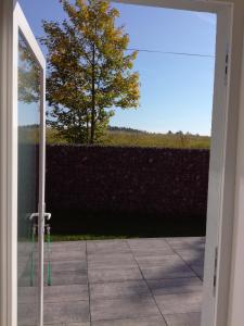 a sliding glass door with a view of a tree at Comfortable house for relax and sports in Hněvkovice