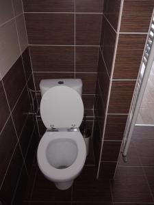 a bathroom with a toilet in a brown tiled wall at Comfortable house for relax and sports in Hněvkovice