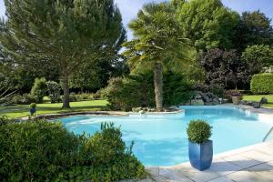 - une piscine avec un palmier dans la cour dans l'établissement Villa La Roseraie avec accès piscine Hôtel La Roseraie, à Montignac