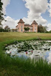 蒙托邦的住宿－Castel Bois Marie, Maison d'hôtes，一座楼前的池塘,上面有百合垫