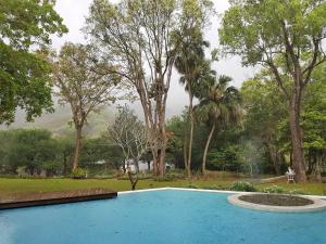 獅潭鄉的住宿－八角居所民宿，一座绿树成荫的公园里的大型蓝色游泳池