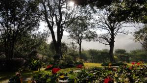 einen Garten mit vielen Blumen und Bäumen in der Unterkunft Around The Tree Manor in Shitan