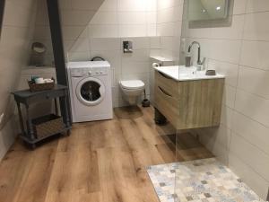 a bathroom with a washer and a toilet and a sink at Les appartements d'estelle in La Petite-Pierre +47 photos