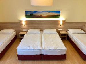 a room with two beds and a painting on the wall at eli29 in Salzburg