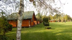 a log cabin in a field with a tree at Domki i pokoje przy ujściu in Solina
