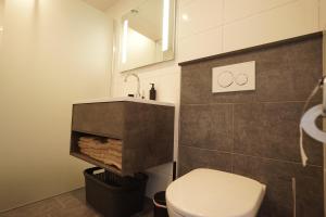 a bathroom with a toilet and a sink at Het Pelgrimshoekje in Vrouwenpolder