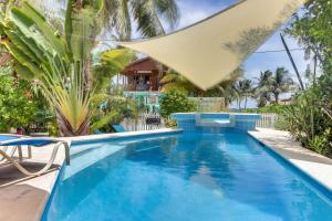 a swimming pool in a resort with palm trees at Amanda's Place Casita Carinosa - pool and tropical garden in Caye Caulker