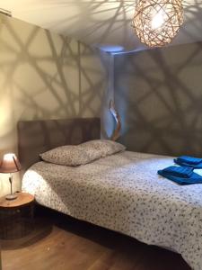 um quarto com uma cama de dossel e um candeeiro em Le Nessmann em Sarlat-la-Canéda