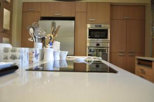 A kitchen or kitchenette at Anna's Mansion