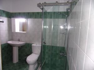 a bathroom with a shower and a toilet and a sink at George's Apartment in Ipsos +31 photos