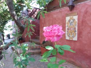 Gallery image of La Medievale du Luberon in Roussillon