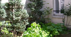 a garden with plants in front of a building at H&ocirc;tel des Pavillons in Paris