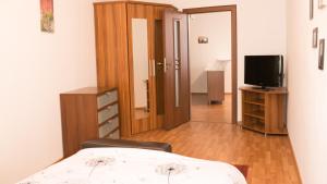 ブラショヴにあるOld Center Apartmentのベッド1台、テレビ、ベッドルーム1室が備わります。