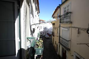 an alley between two buildings with flowers on a balcony at Alfama de Paixao in Lisbon