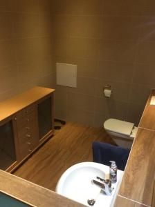 a bathroom with a sink and a toilet at ZUM LÖWE in Waltershausen