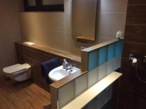 a bathroom with a sink and a toilet and a mirror at ZUM LÖWE in Waltershausen