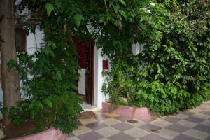 Φωτογραφία από το άλμπουμ του Διαμερίσματα Staggia στη Σάμη