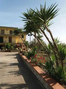Κήπος έξω από το Villa Milici