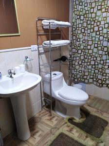 a bathroom with a toilet and a sink at Cabañas El Maitén in Castro +38 photos