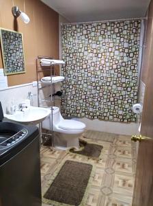 a bathroom with a toilet and a sink and a shower at Cabañas El Maitén in Castro