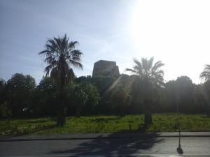 budynek na wzgórzu z palmami i drogą w obiekcie Mary&Bi w mieście Scalea