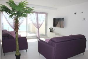 a living room with two purple couches and a palm tree at Appartement 3 pièces Nice Promenade des anglais dernier étage vue mer solarium in Nice