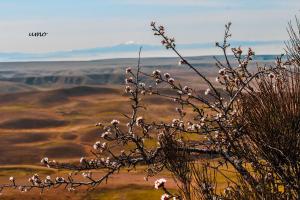 Paesaggio naturale nelle vicinanze dell'ostello