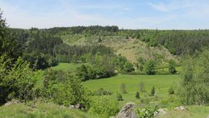 a view of a green hillside with trees at Ubytování u Macochy in Vilémovice