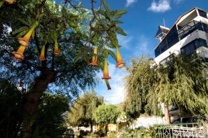 Zahrada ubytování Hotel California Calca