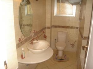 ein Bad mit einem Waschbecken und einem WC in der Unterkunft Fully Equipped ,Private ,centrally located flat in Mohandsseen in Kairo