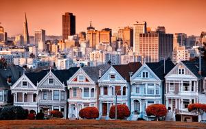 San Francisco şehrindeki Page Hotel tesisine ait fotoğraf galerisinden bir görsel