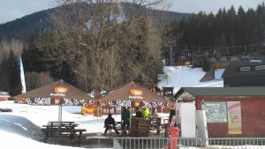 Harrachov Resident Apartments "Terrace & Chill" - high speed WiFi, možnost snídaně, Smart TV, Netflix, Disney plus v zime