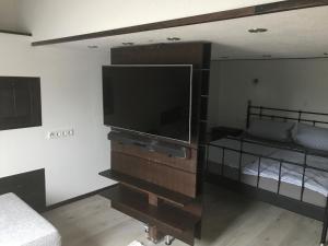 ein Wohnzimmer mit einem Flachbild-TV und einem Bett in der Unterkunft Ferienwohnung Wachsmann in Großefehn 