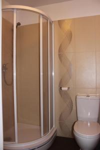 a bathroom with a shower and a toilet at Martas Nams in Ventspils