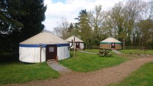 a yurt and a picnic table in a field at Yurtcamp Devon in Newton Abbot
