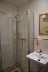 a bathroom with a shower and a sink at Bei Meier`s zum weißen Roß in Königslutter am Elm
