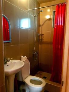 a bathroom with a toilet and a sink and a shower at Guest House Villa in Kvareli +78 photos