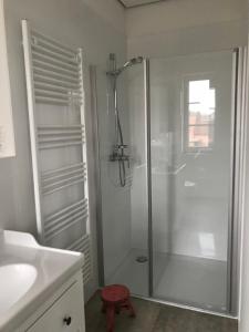 ein Bad mit einer Dusche und einer Glastür in der Unterkunft Ferien Hohes Elbufer in Schnakenbek