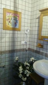 Vonios kambarys apgyvendinimo įstaigoje La Luciérnaga